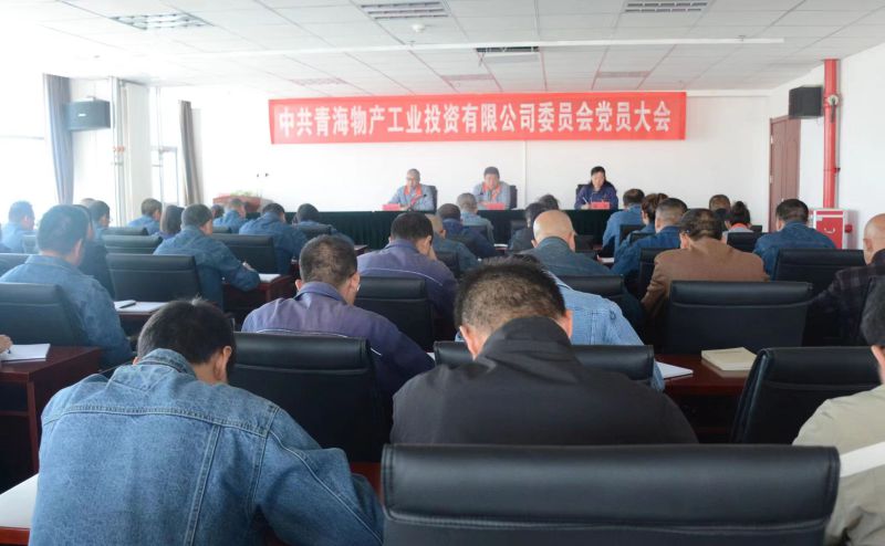 實干擔當拼搏趕超 為奪取新時代物產(chǎn)工投綠色低碳高質(zhì)量發(fā)展新勝利不懈奮斗 &mdash;&mdash;物產(chǎn)工投公司黨委召開換屆選舉大會