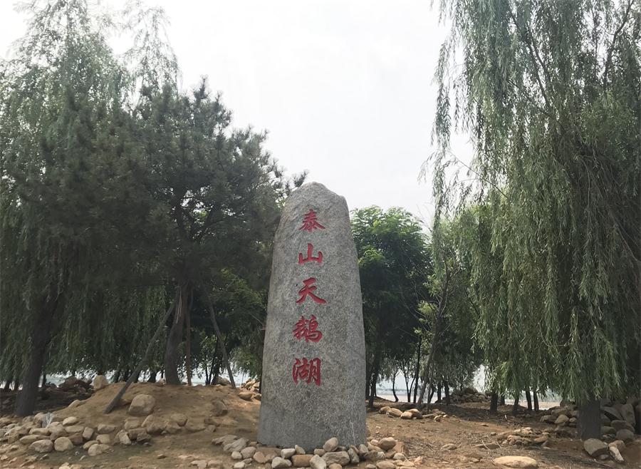 天鵝湖風(fēng)景區(qū)（泰山）速覽！(圖12)